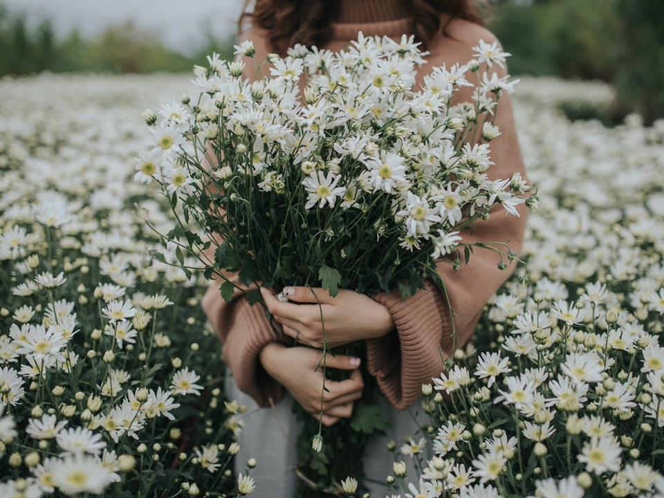 Cô gái lột đồ giữa vườn cúc họa mi và 1001 kiểu mặc phản cảm-9