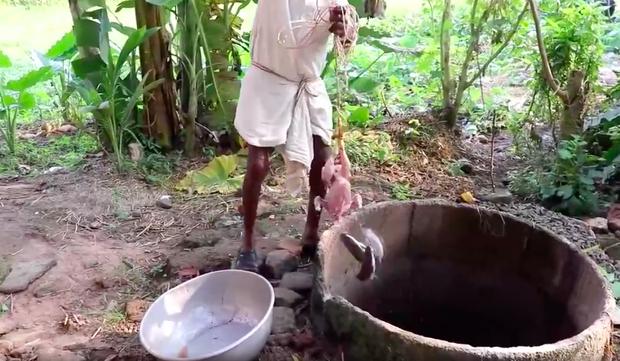 Cái kết bất ngờ khi ông lão ném con gà đã lột sạch da xuống giếng-4