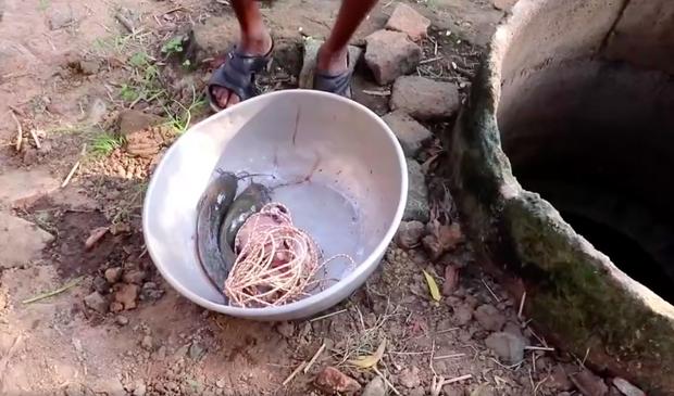 Cái kết bất ngờ khi ông lão ném con gà đã lột sạch da xuống giếng-5