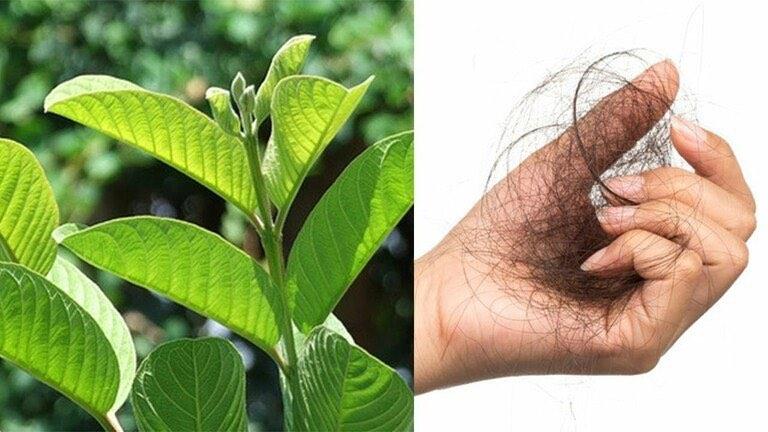 Áp dụng mẹo 3 lần/tuần tóc chắc khỏe, hết rụng, mọc nhanh-2