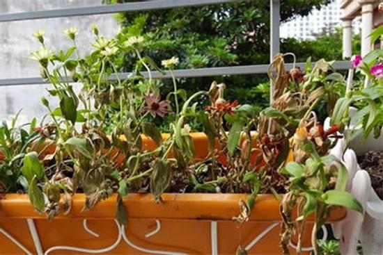 5 đồ vật cản trở tài lộc, rước thêm tai họa, thấy phải vứt ngay