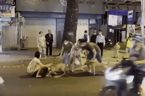 Clip: Thanh niên bị 2 người đàn ông đánh túi bụi giữa phố Hà Nội-1