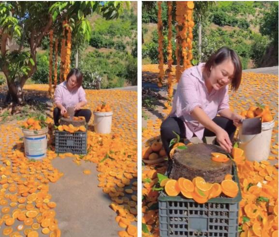 Cắt cam vứt la liệt xuống đất, cô gái gây phẫn nộ vì quá lãng phí-1