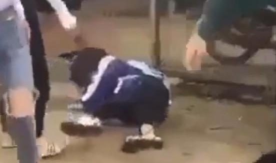 Nữ sinh nhập viện cấp cứu vì bị bạn đánh hội đồng-1