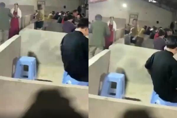 Đám cưới tổ chức trong chuồng lợn làm xôn xao cõi mạng-1