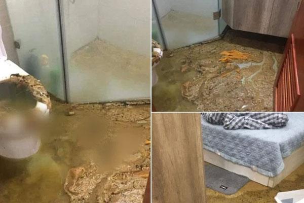 Vụ bồn cầu phun chất thải ngập cả phòng ngủ: Chủ đầu tư nói gì?-4