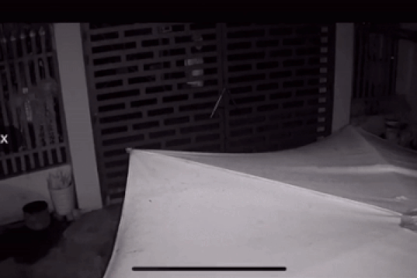 Cái bóng trắng lướt xuyên qua xe của người đi đường được camera ghi lại-2