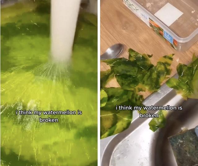 Mua dưa hấu siêu thị, cô gái gặp cảnh khó tin đến nỗi không dám ăn-2