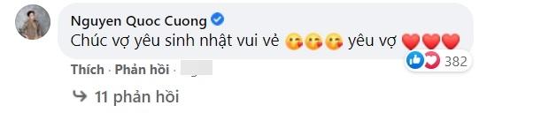 Biệt thự ở không hết, vợ chồng Cường Đô La đã xây căn mới?-2