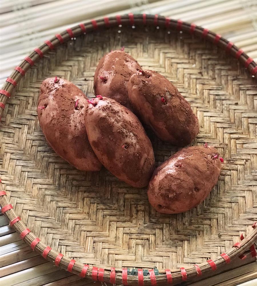 Bánh bao hình khoai lang khiến dân tình thật giả lẫn lộn u mê-2
