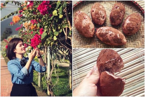 Bánh bao hình khoai lang khiến dân tình 'thật giả lẫn lộn' u mê