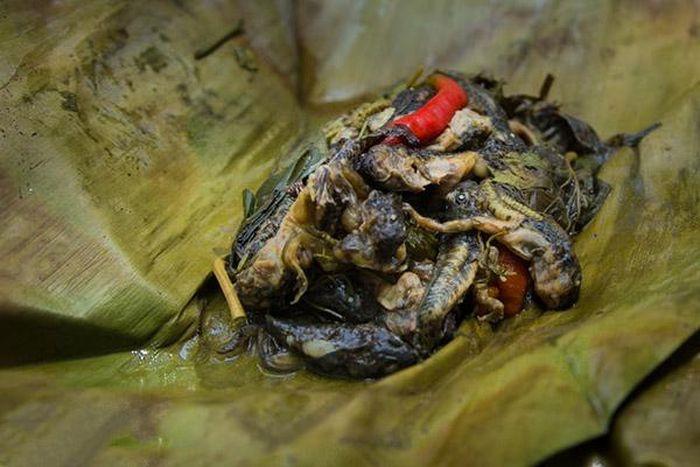 Dịch bệnh chảy máu chuối nguy hiểm có thể lan rộng Đông Nam Á-2