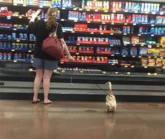 Khi siêu thị trở thành sàn diễn cho thanh niên thích tấu hài-5