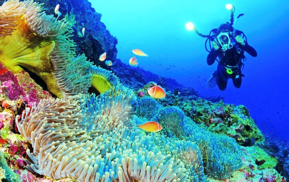 Đảo Giáng sinh nhưng không liên quan gì đến Giáng sinh-4