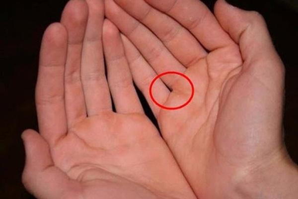 5 giây nhìn ngón tay cái, biết ngay đời ai sắp lên hương-3