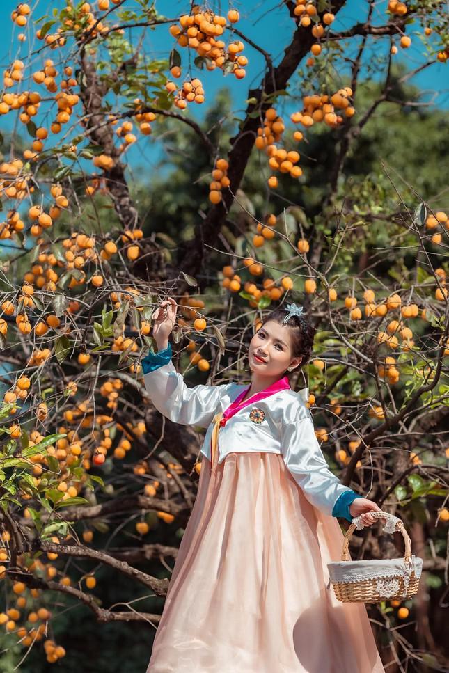 Cây hồng trăm tuổi đẹp ngất ngây ở Ninh Bình, ngã vào là u mê-12