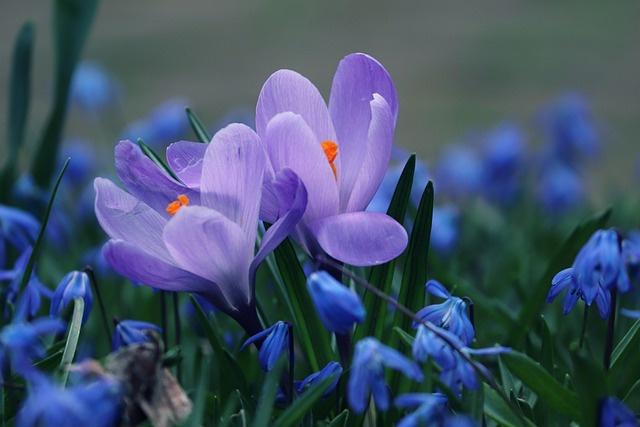 Sinh ngày Âm lịch được quý nhân bật đèn xanh, ngồi yên hưởng lộc-4