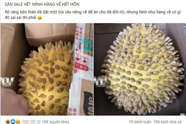 Tai nạn nghề nghiệp khi kiểm tra sầu riêng ai nhìn cũng hoảng-2