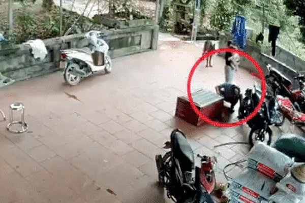 Clip: Đang đùa giỡn, trăn khủng nổi điên đớp mặt người đàn ông-1