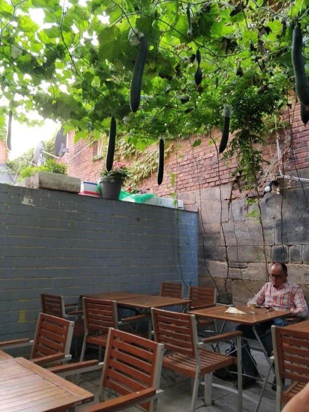 Loạt thiết kế độc lạ ở các nhà hàng như muốn đuổi khách-10