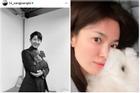 Song Hye Kyo bị chỉ trích thiếu tế nhị khi nhà chồng cũ đau buồn