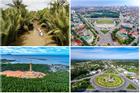 4 tỉnh thành Việt Nam mà trong tên có chứa một loài cây