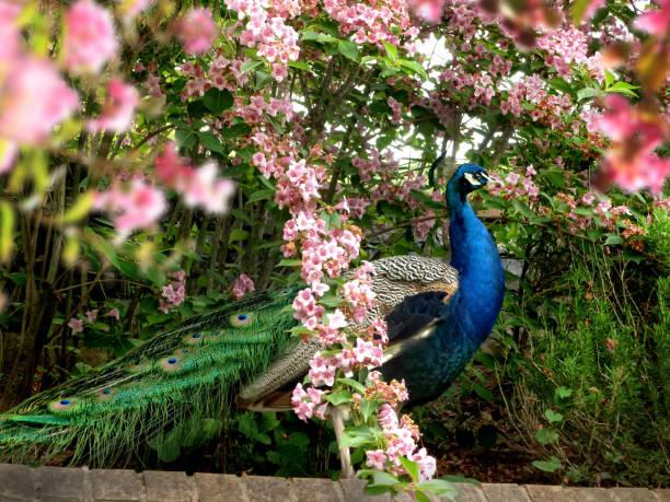 Sinh ngày Âm lịch được quý nhân bật đèn xanh, ngồi yên hưởng lộc-2