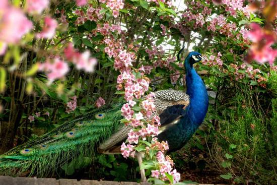 Sinh ngày Âm lịch được quý nhân 'bật đèn xanh', ngồi yên hưởng lộc