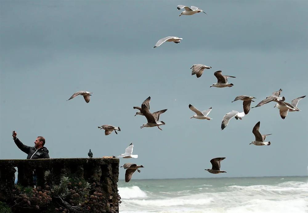 Chùm ảnh 1 tuần tràn ngập sự kiện nổi bật khắp thế giới-5