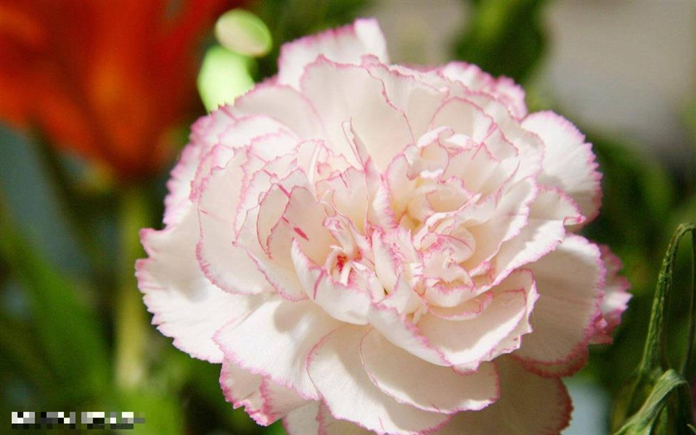 Trẻ sinh vào 3 khung giờ Âm lịch này tương lai tươi sáng-1