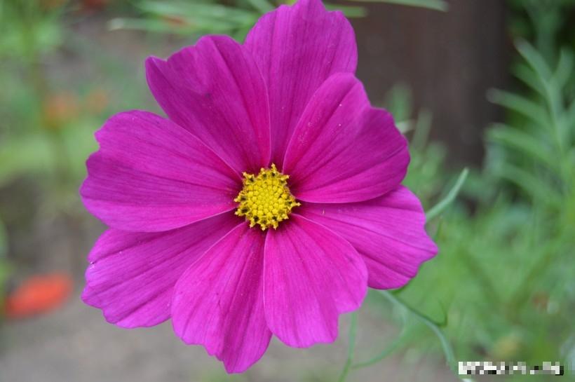 Trẻ sinh vào 3 khung giờ Âm lịch này tương lai tươi sáng-2