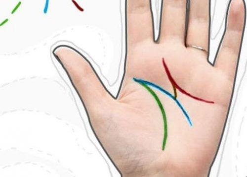 Đoán tính cách, vận mệnh của người có đường chỉ tay chữ M đặc biệt-1