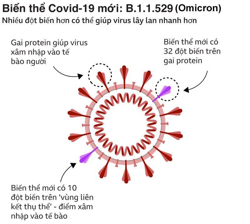 Người phát hiện biến thể Omicron cảnh báo về tốc độ đột biến-1