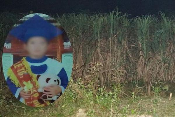 Dấu vết lạ trên ống tay áo và tội ác nhẫn tâm của người phụ nữ quê mùa-1