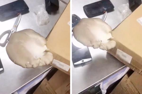 Đặt hàng bị giao chậm, cô gái lặng người khi shipper xin lỗi... bằng tay-4