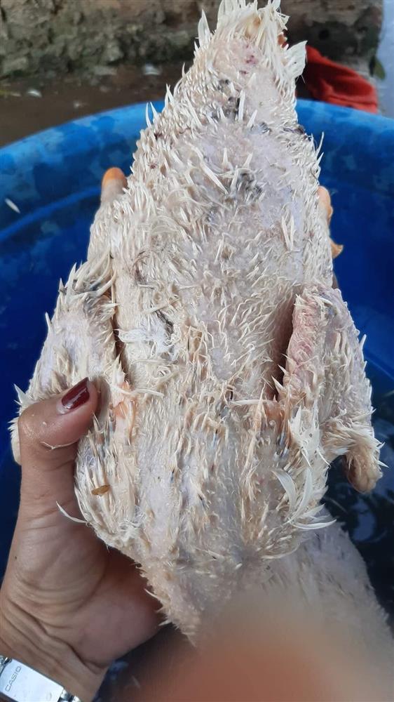 Trổ tài thịt vịt, cô gái cho ra lò thành phẩm sởn gai ốc, nhìn muốn ói-1
