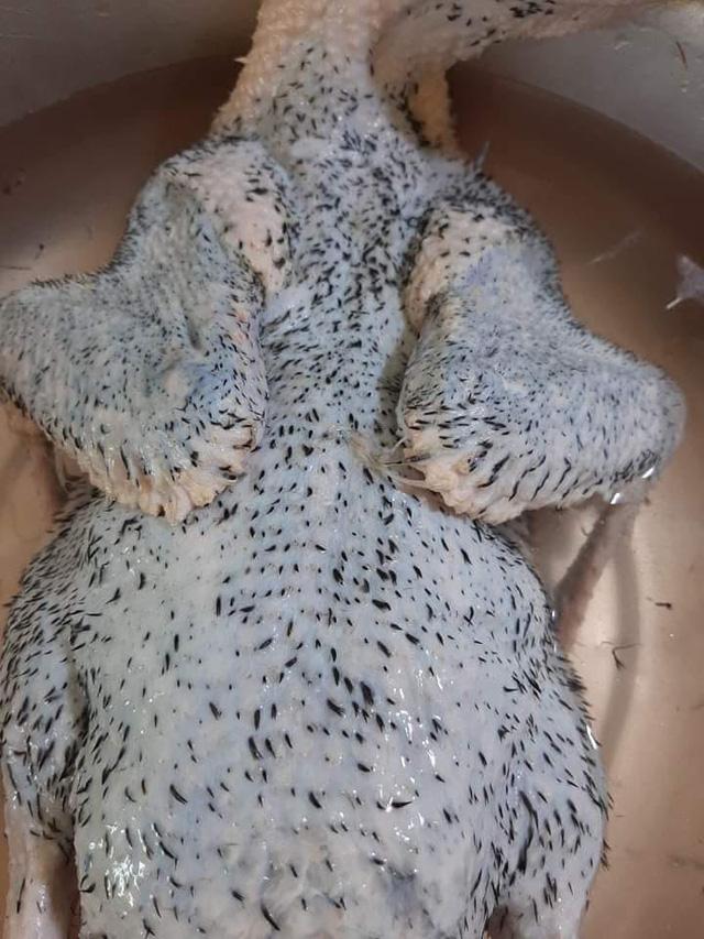 Trổ tài thịt vịt, cô gái cho ra lò thành phẩm sởn gai ốc, nhìn muốn ói-3