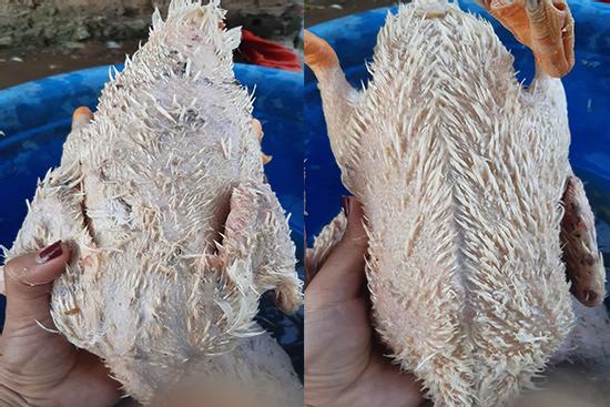 Trổ tài thịt vịt, cô gái cho ra lò thành phẩm sởn gai ốc, nhìn muốn ói
