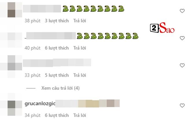 Netizen quốc tế bênh Thùy Tiên, thả rắn cho đối thủ chửi tục-5