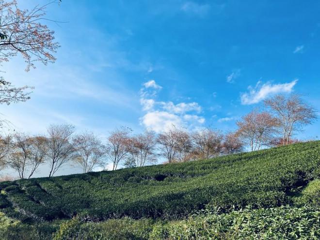 Đừng bỏ lỡ điểm check in cực phẩm ở Sa Pa-3