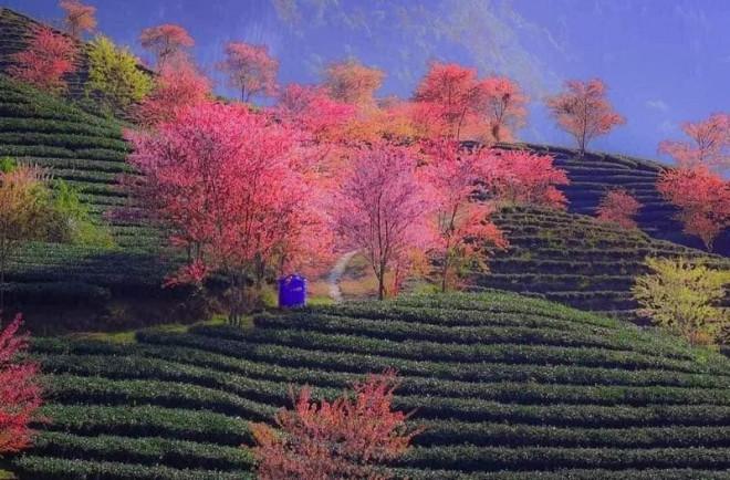 Đừng bỏ lỡ điểm check in cực phẩm ở Sa Pa-2