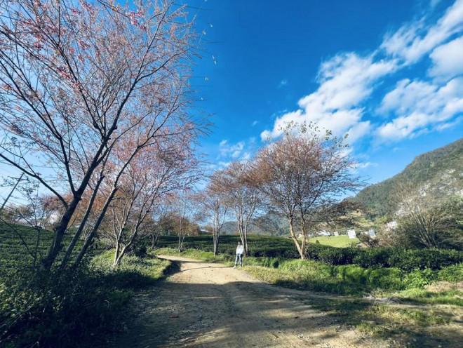 Đừng bỏ lỡ điểm check in cực phẩm ở Sa Pa-5