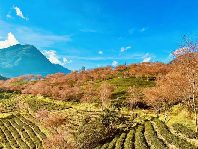 Đừng bỏ lỡ điểm check in cực phẩm ở Sa Pa-6