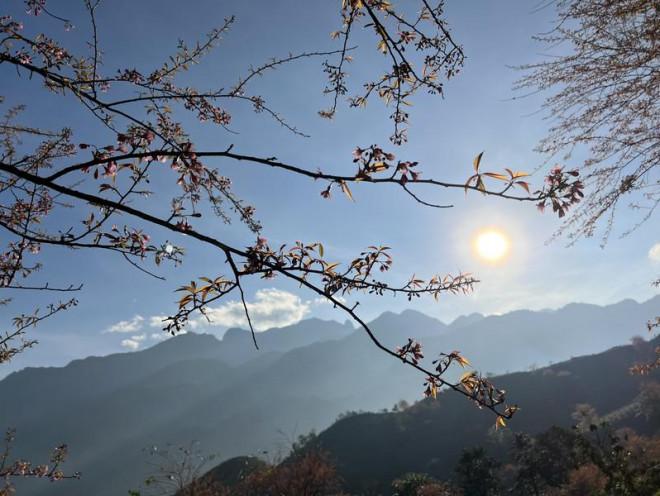 Đừng bỏ lỡ điểm check in cực phẩm ở Sa Pa-7