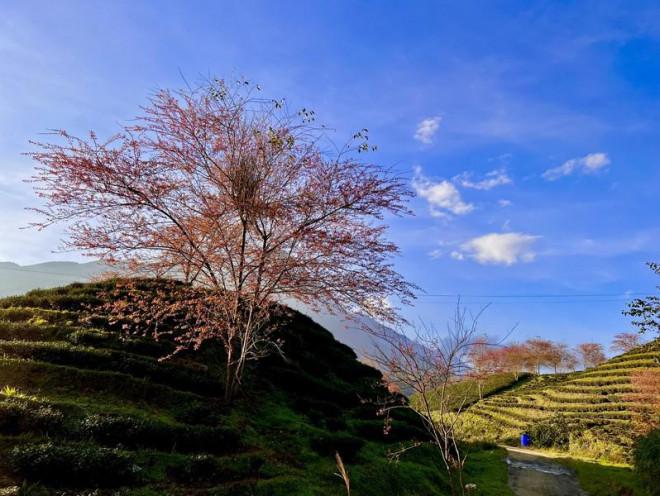 Đừng bỏ lỡ điểm check in cực phẩm ở Sa Pa-8