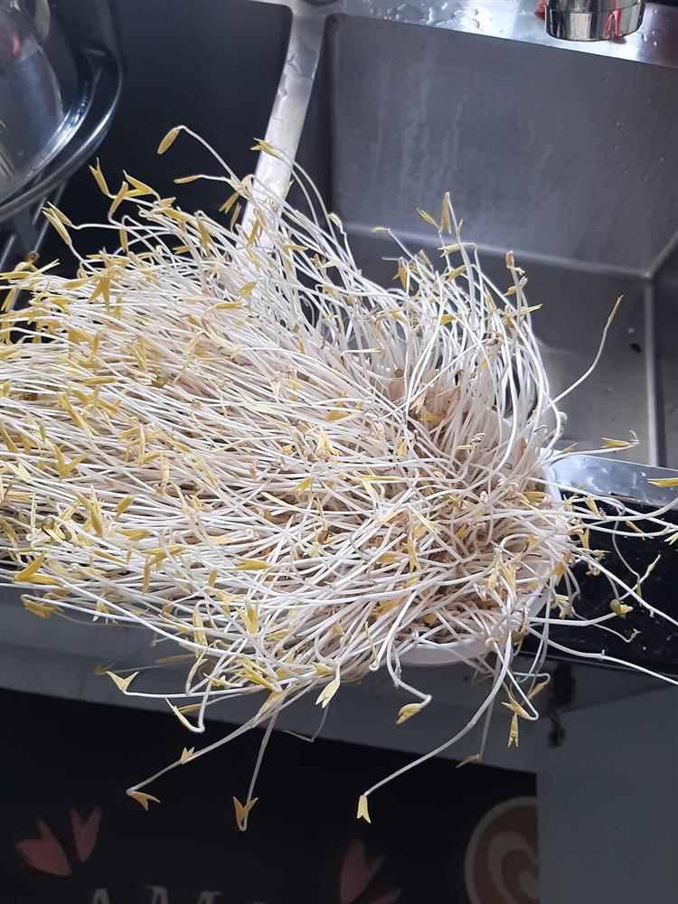 Giá đỗ ngang ngược mọc kiểu cuốn theo chiều gió nhìn mà thảng thốt-3