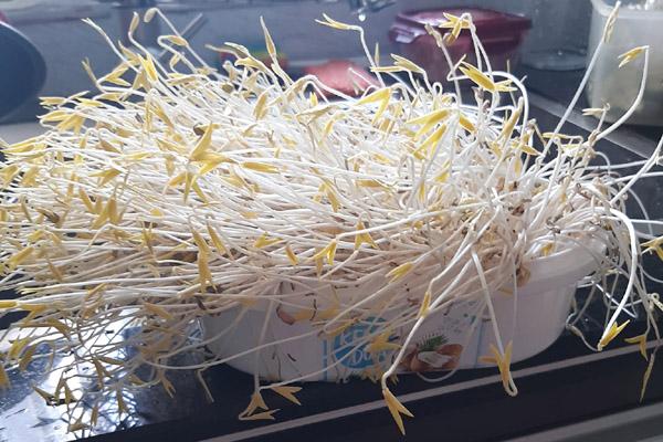 Thịt ngan viên kho kiểu lạ thơm nức, ai đi qua cũng ngó nghiêng-4