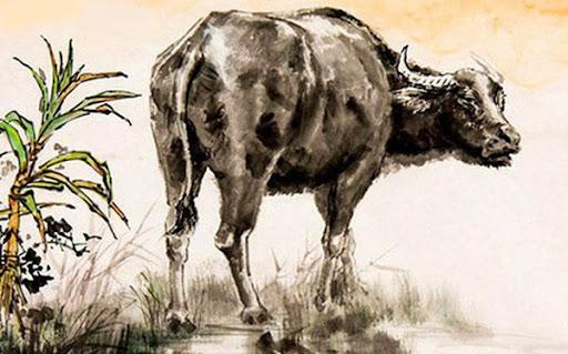 4 con giáp thánh bi quan, bảo sao cả đời mãi tăm tối, chật vật-1