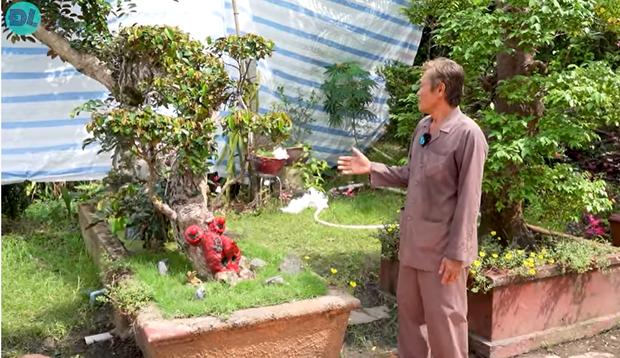 Ngắm cây vú sữa dáng rồng cổ quái, chồng hỏi ý vợ rồi hô 3 tỷ đồng-2