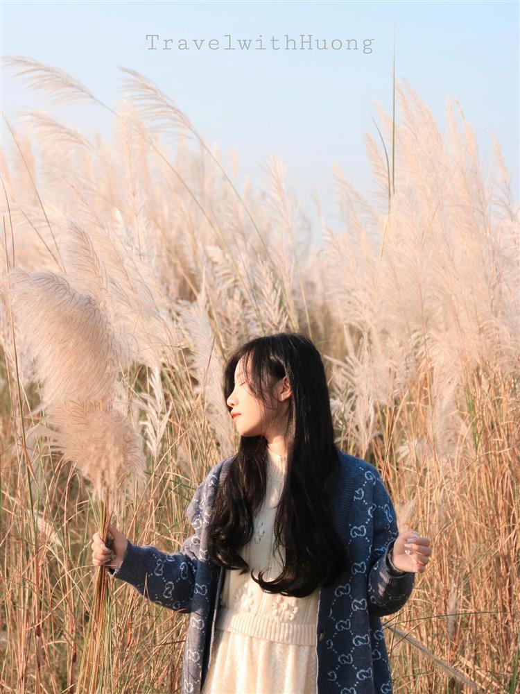 Bãi cỏ lau hot hit ở Hà Nội bị thiêu rụi, team mê ảnh ngơ ngác, gục ngã-2